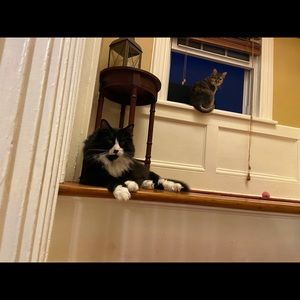 Meet your Posher, Jodi